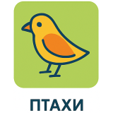 Птахи