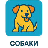 Собаки